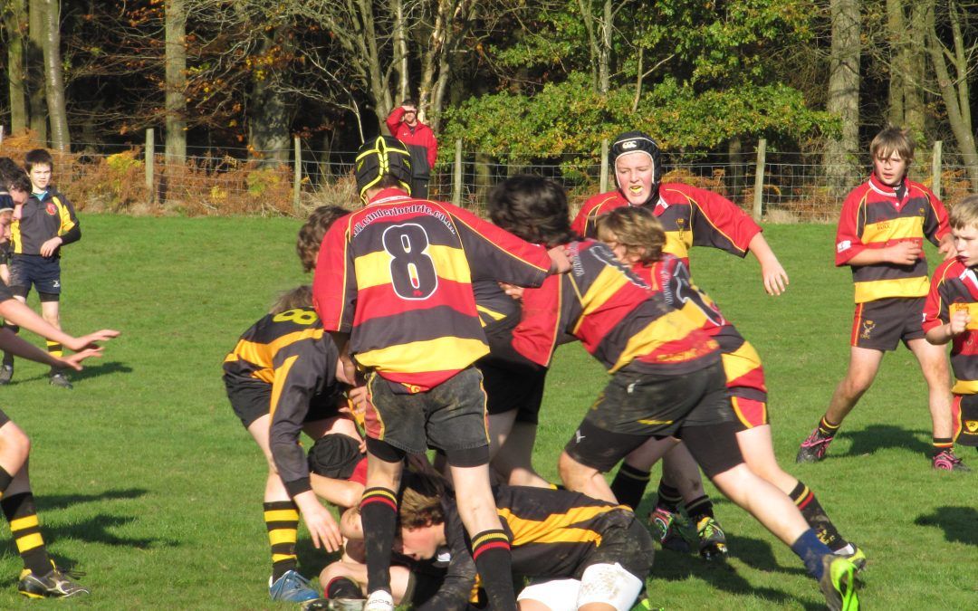 Cinderford Under 13’s Update