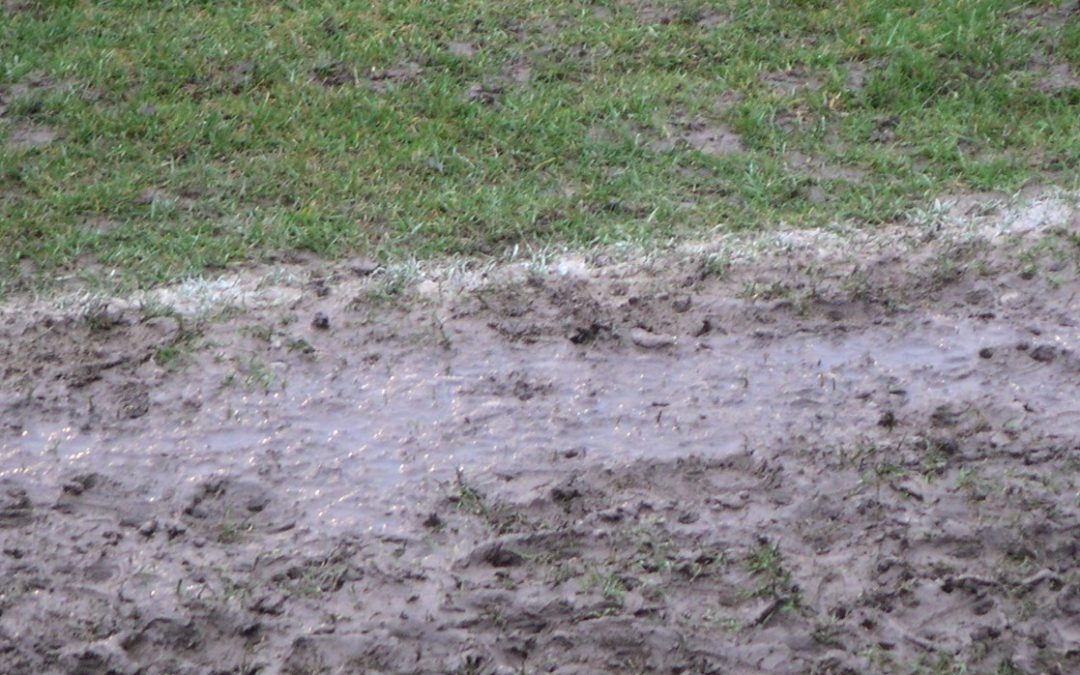 Cinderford v Wharfedale postponed